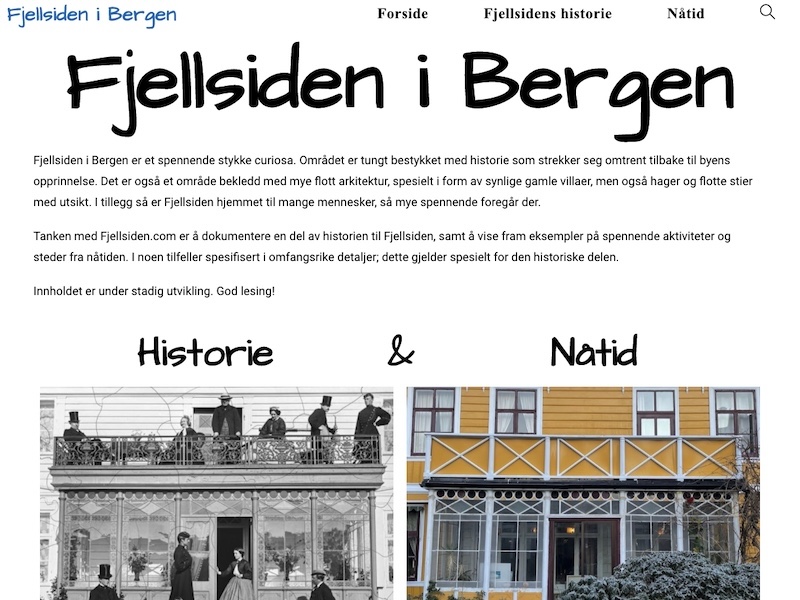 Bilde av websiden fjellsiden.com